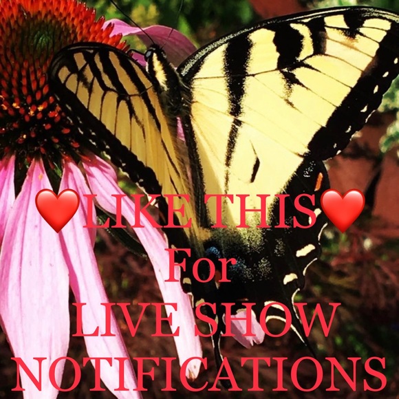 🍀LIVE AUCTION NOTIFICATION 🍀🤗🤗🍀CLOSET IS OPEN TODAY! Come say hello! - Picture 5 of 13